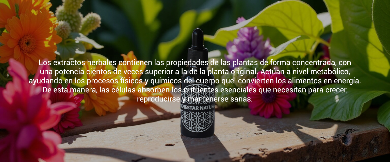 EXTRACTOS HERBOLARIOS